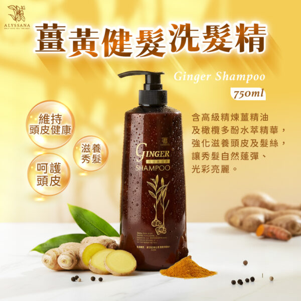 ALYSSANA 薑黃健髮洗髮精750ml